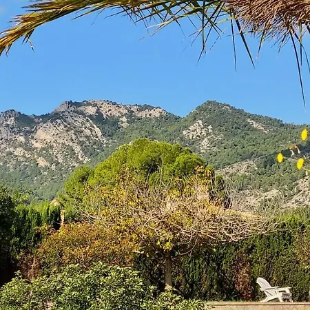 Casa De Lirios 4*