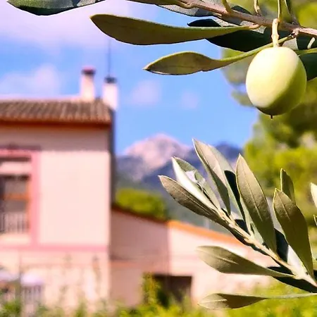 Nocleg ze śniadaniem Casa De Lirios