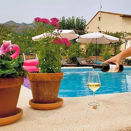 Casa De Lirios B&B 무로데알코이